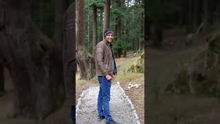 manali ke jangal me ser [upl. by Aryc294]