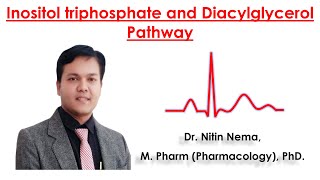 Inositol triphosphate and Diacylglycerol Pathway by Dr Nitin Nema [upl. by Emiline87]