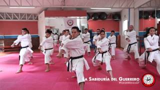 Clase de Karate específica de kata de competencia en La Sabiduría Del Guerrero  México DF [upl. by Nol324]