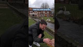 Banned Muzzled XLBully Grabs A Mans Hand And Touches His ❤️ dog puppy xlbully love dogwalk [upl. by Atilam299]