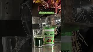 Voel u op uw best met Herboxa Super Greens herboxa herboxasupergreens herboxanutrition [upl. by Hubert175]