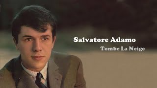 Salvatore Adamo  Tombe La Neige  Lyrics SalvatoreAdamoTribute [upl. by Ellehcyt]