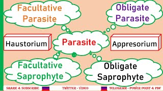 Obligate parasite Facultative parasite Obligate saprophyte Facultative saprophyteHaustoria PPP6 [upl. by Yrallam]