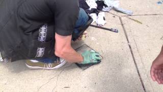 Video David Zinn Shows Sidewalk Art [upl. by Olaf167]