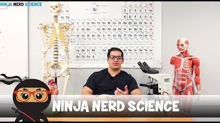 Welcome to Ninja Nerd Science [upl. by Lleoj]