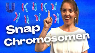 Waarom zijn mannen anders dan vrouwen WetenSNAP chromosomen [upl. by Fields]