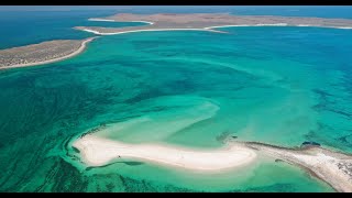 Dampier Archipelago Bait Balls 4K [upl. by Icken769]