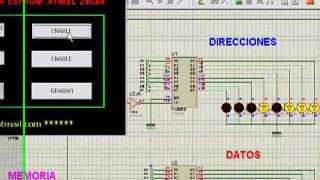 GRABADOR DE EEPROM 28C64 CON VISUAL BASIC Y PUERTO PARALELO [upl. by Ettevram]