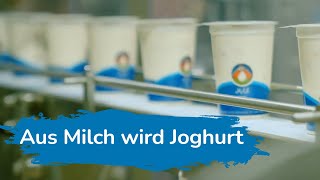 Aus Milch wird Joghurt – zu Besuch in der Molkerei [upl. by Llevrac]