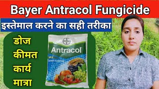 How to use antracol fungicide  Propineb 70wp  Antracol fungicide  bayer antracol fungicide uses [upl. by Burrton]