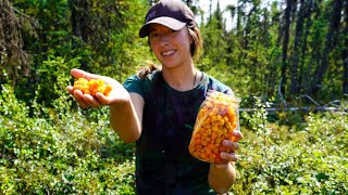 Sweet amp Sour Cloudberry Harvest  Canning Cauliflower from the Garden [upl. by Bina]