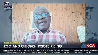 Bird Flu Outbreak  Egg and chicken prices rising [upl. by Aehsa]