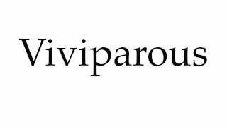 How to Pronounce Viviparous [upl. by Eki]