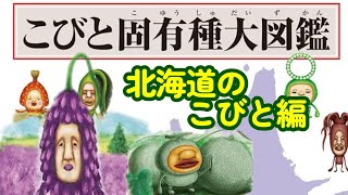 【こびとづかん】こびと固有種大図鑑⭐北海道に住むこびと編 [upl. by Holton]