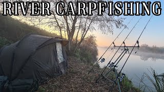 CarpFishing invernale in Fiume  Winter CarpFishing [upl. by Akeimahs]