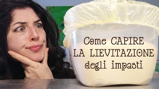 Come capire la LIEVITAZIONE degli impasti con LIEVITO MADRE [upl. by Tychonn89]