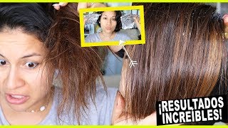 TRATAMIENTO CASERO PARA EL CABELLO SECO Y MALTRATADO 7 I COLAB TANIA ARREDONDO [upl. by Enidualc]