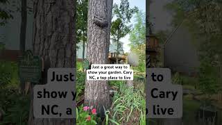 Love Cary and these amazing homes and gardens 💕 cary carync carynorthcarolina garden garden [upl. by Iru727]