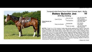 Pitzer Ranch Fall Sale 2024 Lot 60 DUKES QUIXOTES JOE [upl. by Enneiviv]