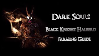 Dark Souls  Easy Black Knight Halberd Farm Guide PC [upl. by Aihsenad]