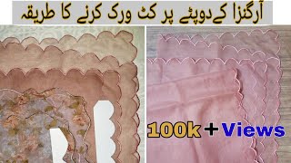 Cutwork Dupatta Design At Home  Cutwork Embroidery On Organza Dupatta Janome Machine  NS Creation [upl. by Rennold18]