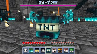 全てのモブがTNTになった世界でサバイバル！？【マインクラフト】 [upl. by Anneliese296]