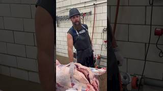 Want to know where brisket comes from on a beef carcass 🔪🐮 shorts beef brisket bbq [upl. by Fenny833]