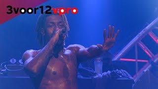 Flatbush Zombies  Live at Woo Hah 2017 [upl. by Rendrag393]