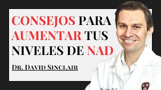 ¿Cómo aumentar nuestros niveles de NAD Estilo de vida NMN  Dr David Sinclair [upl. by Anaoj]