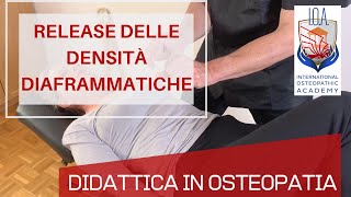 Trattamento diaframma in osteopatia  Release delle densità e tratti connettivali [upl. by Sokul]