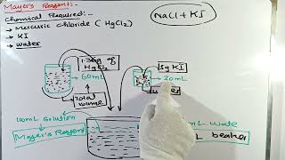 Preparation of Mayers Reagent  Organic reagent  Preparation of reagent in Chemistry lab [upl. by Darcy]