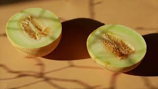 Cantaloupe Melon Recall A Fruity Fiasco 2024 09 09 [upl. by Eduard]