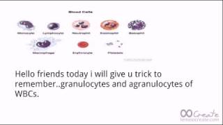 Trick to remember WBCs granulocytes and agranulocytes For neet [upl. by Noiram415]