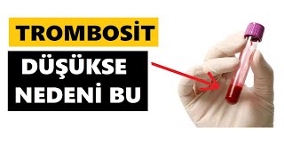 TROMBOSİT DÜŞÜKSE ANA NEDENİ BU [upl. by Yecart]