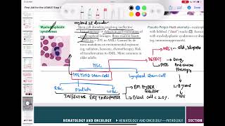 Myelodysplastic syndrome haematology 78 First Aid USMLE Step 1 in UrduHindi [upl. by Giuliana]