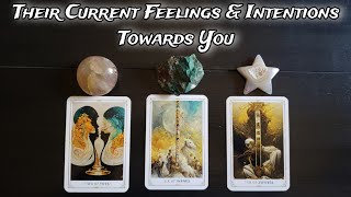 🦭💕 Their Current Feelings amp Intentions Towards You 🧁🦔 Pick A Card Love Reading [upl. by Brina]