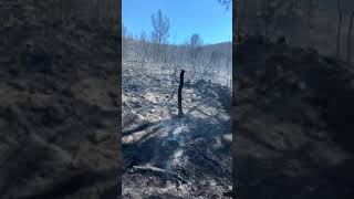 Un incendie parcourt 10 hectares aux PennesMirabeau [upl. by Bowie]