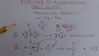 Alogenazione degli alcani [upl. by Gracye334]