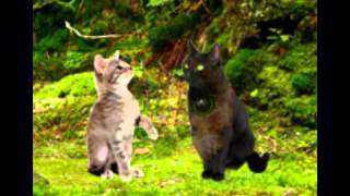 Warrior Cats Hörbuch  Die neuen Clans1 Part 2 [upl. by Yot]