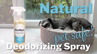 Deodorizer Spray thats 100 Natural Pet Friendly Solution shorts [upl. by Hunfredo]