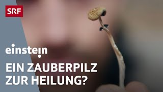 Drogen als Medikamente Wie LSD Psilocybin und GHB heilen könnten  Doku  Einstein  SRF Wissen [upl. by Oderfigis]