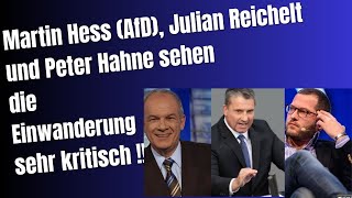 Martin Hess AfD Julian Reichelt und Peter Hahne sehen die Einwanderung sehr kritisch [upl. by Jase]