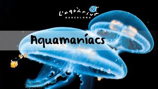 AQUAMANÍACS  Capítol 5 Les meduses [upl. by Wexler851]