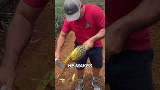 How experts peel pineapples [upl. by Lissy]