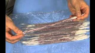 Muscle Anatomy Plastic Wrap Teaching Tip Video [upl. by Monjan]