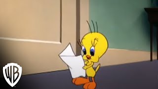 Looney Tunes Super Stars Tweety amp Sylvester Feline Fwenzy  Admirer  Warner Bros Entertainment [upl. by Changaris604]