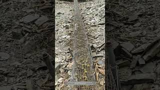 Use PVC Pipes And Wire Mesh Cleverly To Build A Mountain Slide For Smart Transportation Of Walnuts [upl. by Aihsemaj]