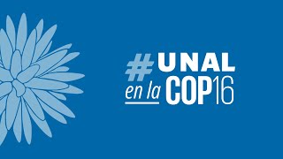 COP 16 El Riesgo Climático sin Fronteras Desafíos para la Resiliencia en regiones insulares [upl. by Eiramnaej376]