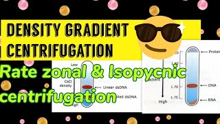 Density gradient centrifugation Rate zonal amp Isopycnic centrifugation [upl. by Aralc]