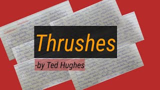 Thrushes by Ted Hughes Summary in urduhindi  englishstudynotes4515 [upl. by Zena]